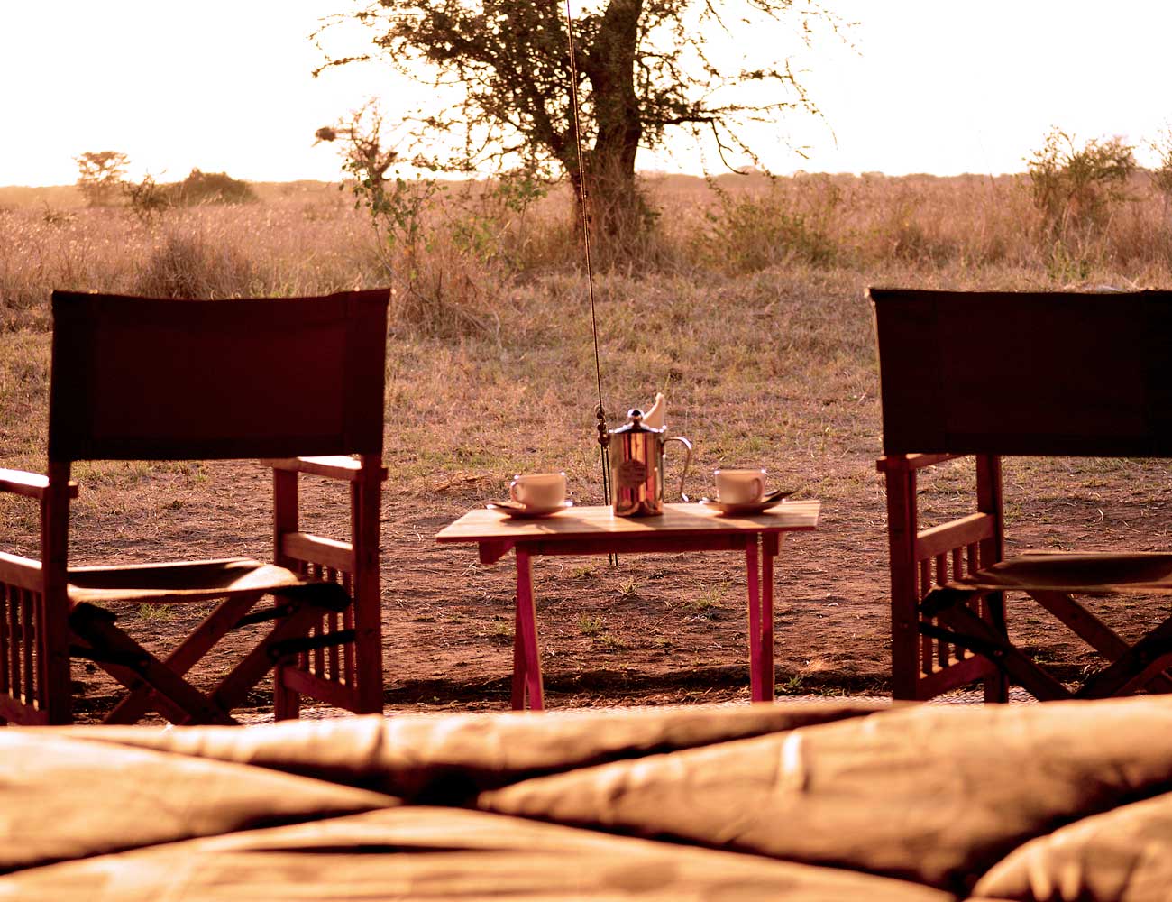 Zawadi Serengeti Camp GuestTent